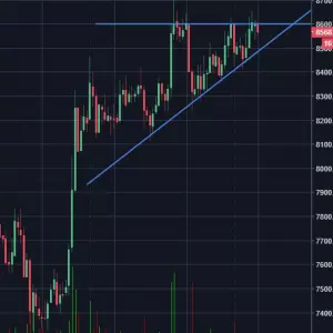 Bitmex & Binance Signals Paid